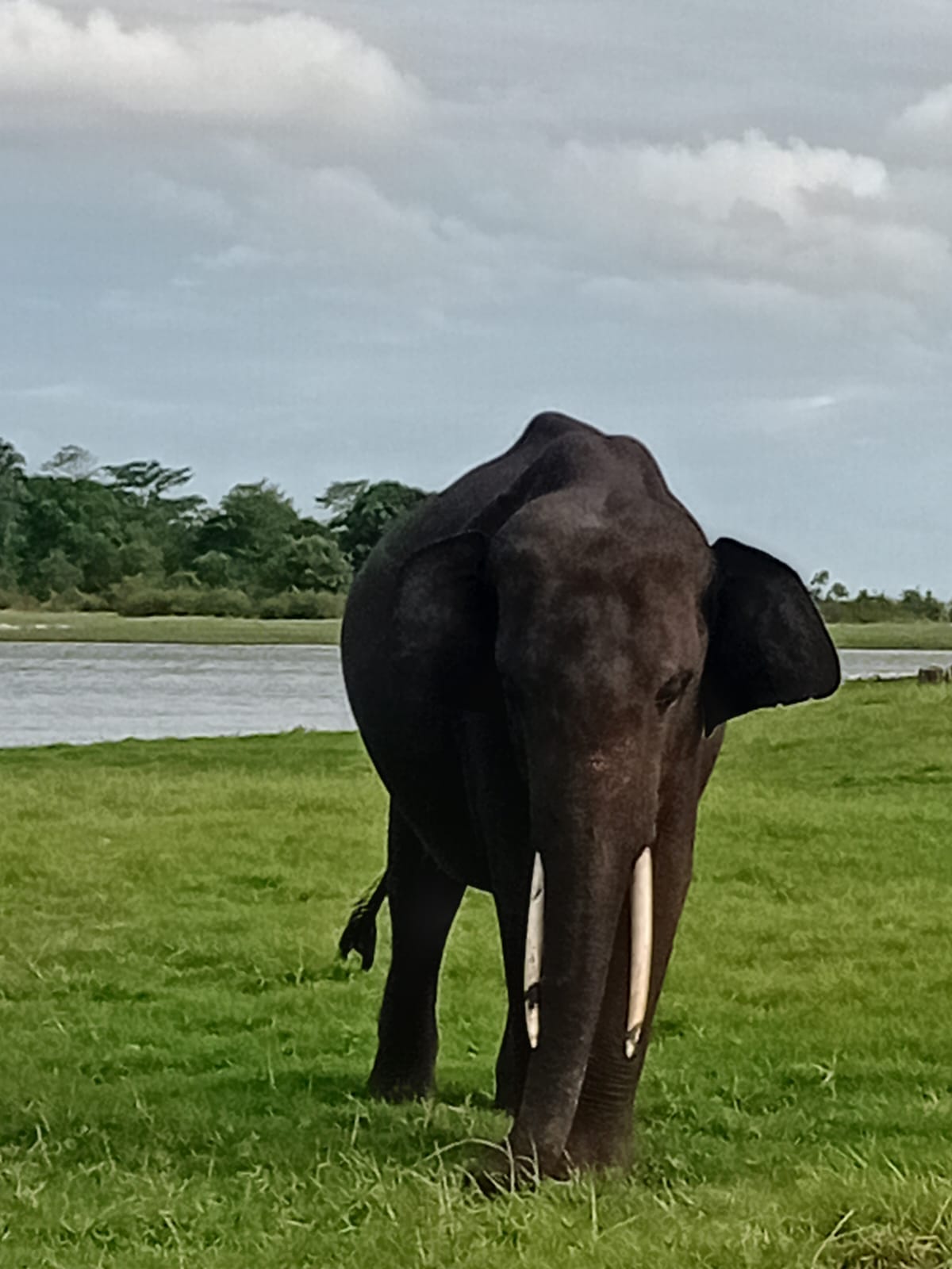 Safari Tour Moments